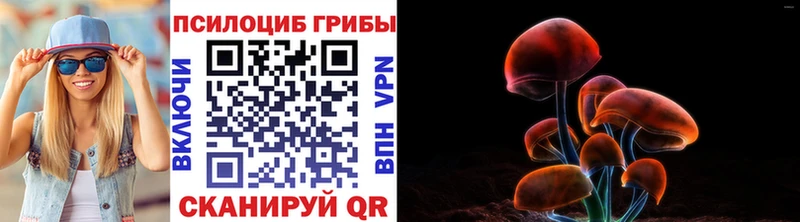 сайты даркнета наркотические препараты  Нязепетровск  Псилоцибиновые грибы Psilocybe  как найти закладки 